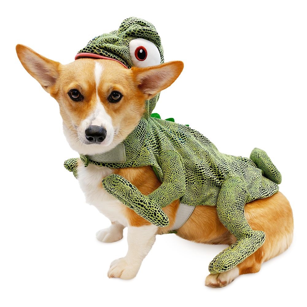 BNWT DisneyTails Pascal from Tangled pet costume - size S